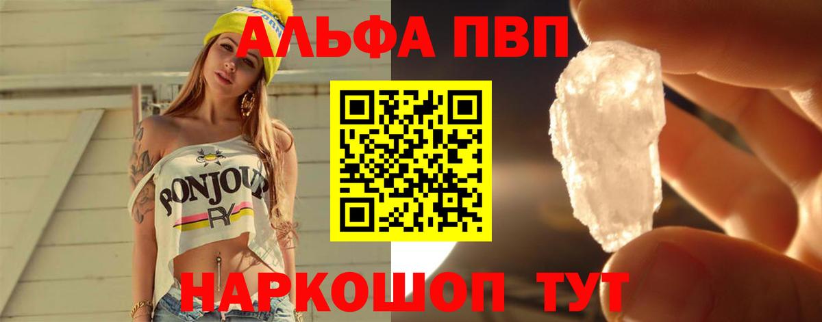 A PVP СК Петропавловск-Камчатский