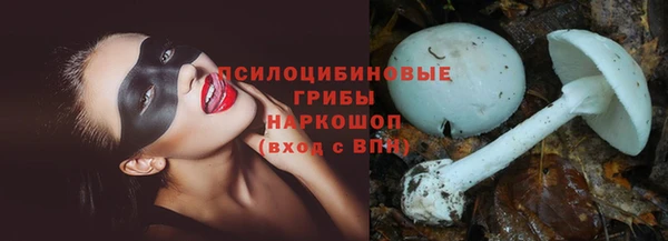 сатива Белоозёрский
