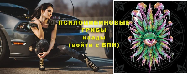 гидропоника Алексеевка