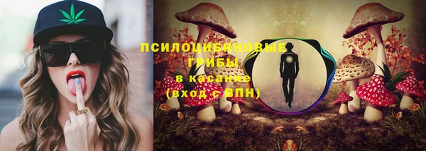 экстази Белокуриха
