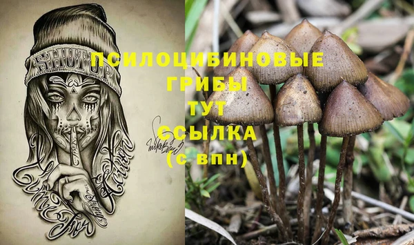альфа пвп Снежногорск