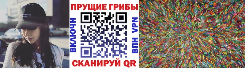 Псилоцибиновые грибы прущие грибы  купить закладку  Петропавловск-Камчатский 
