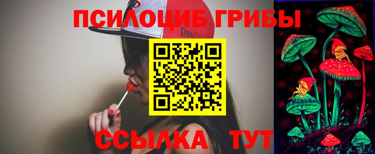 Псилоцибиновые грибы мухоморы  Галлюциногенные грибы Psilocybe  Петропавловск-Камчатский  Вход с VPN 